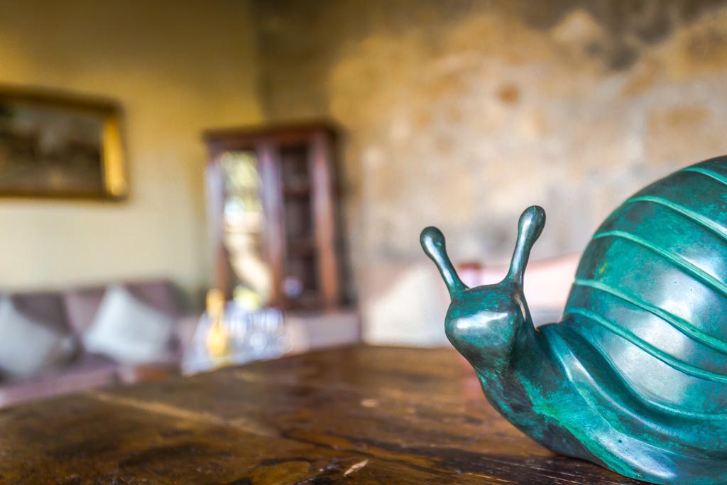 La Locanda Della Chiocciola Orte Zewnętrze zdjęcie