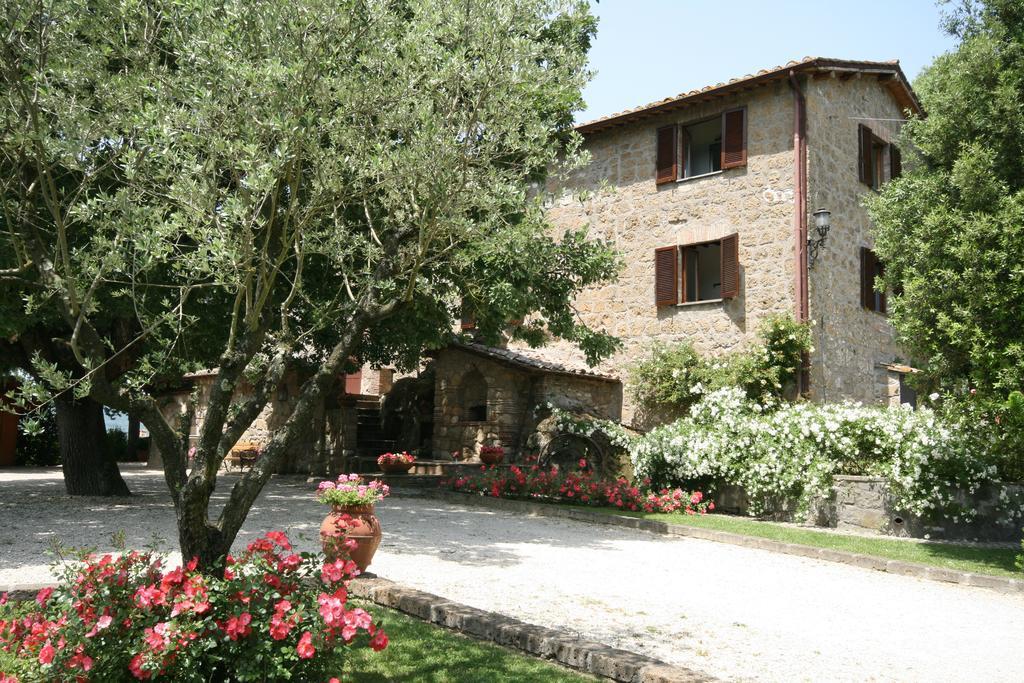 La Locanda Della Chiocciola Orte Zewnętrze zdjęcie